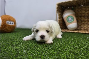 Owen - Mixed/Other for sale