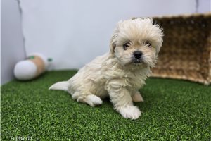 Clara - Mixed/Other for sale