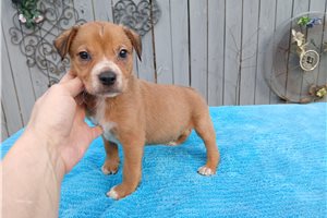 Cray - Mixed/Other for sale