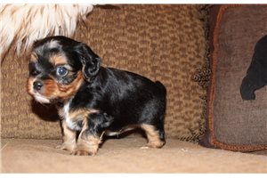 Pixel - Mixed/Other for sale