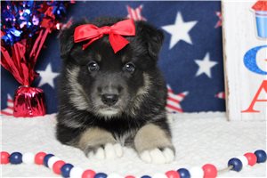 Mallery - Mixed/Other for sale