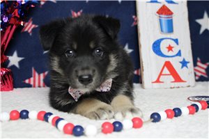 Garrett - Mixed/Other for sale