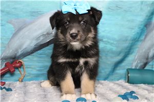 Mallery - Mixed/Other for sale