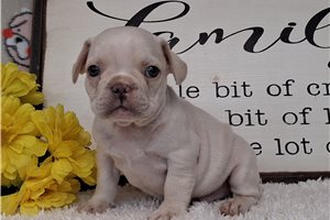 Turner - Frenchton for sale