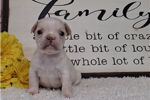 Turner - Frenchton for sale