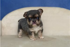 Emberly - Mixed/Other for sale