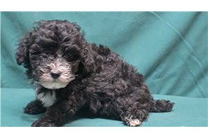 Miles - Mixed/Other for sale