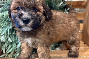 Delvin - Mixed/Other for sale