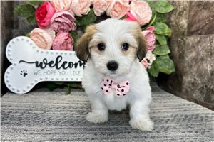 Martin - Mixed/Other for sale