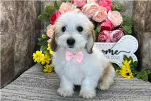 Martin - Mixed/Other for sale