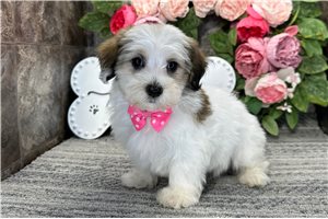 Mason - Mixed/Other for sale