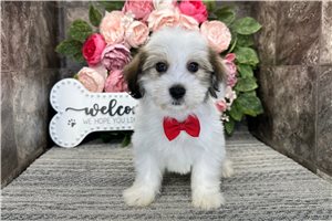 Matt - Mixed/Other for sale