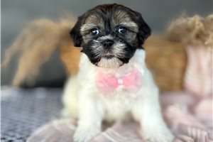 Jennifer - Mixed/Other for sale