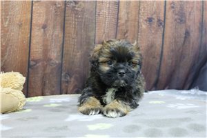 Norm - Mixed/Other for sale