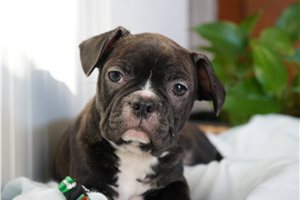 Lawrence - Frenchton for sale