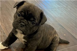 Waffles - Mixed/Other for sale