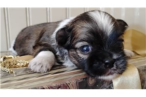 Hamilton - Mixed/Other for sale