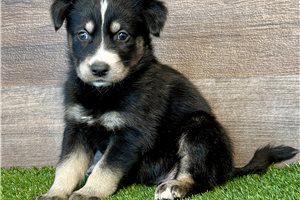 Atlanta - Mixed/Other for sale