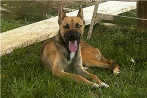 Hoover - Mixed/Other for sale