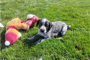 Matilda - Mixed/Other for sale