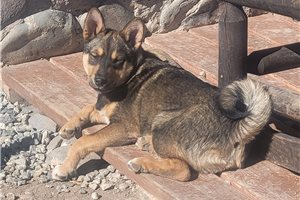 Cartwright - Mixed/Other for sale