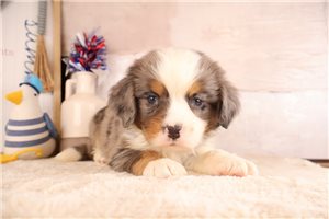 Easton - Mixed/Other for sale