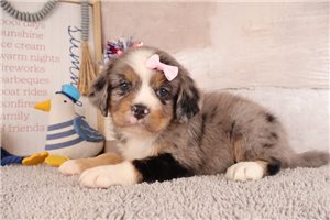 Emma - Mixed/Other for sale