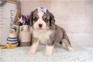 Esmeralda - Mixed/Other for sale