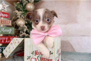 Henry - Mixed/Other for sale