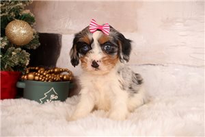 Margaret - Mixed/Other for sale