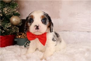 Monroe - Mixed/Other for sale