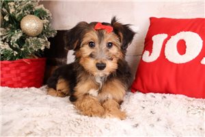 Lillian - Mixed/Other for sale