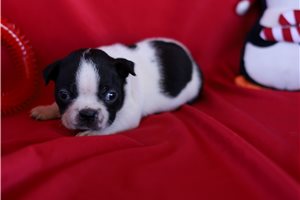 Ericson - Frenchton for sale