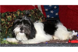 Nash - Mixed/Other for sale